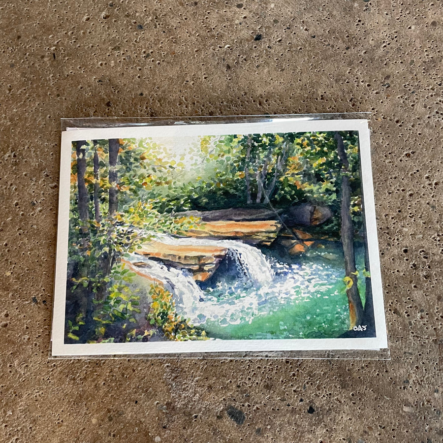 Octavia Spriggs- Deckers Creek x 5