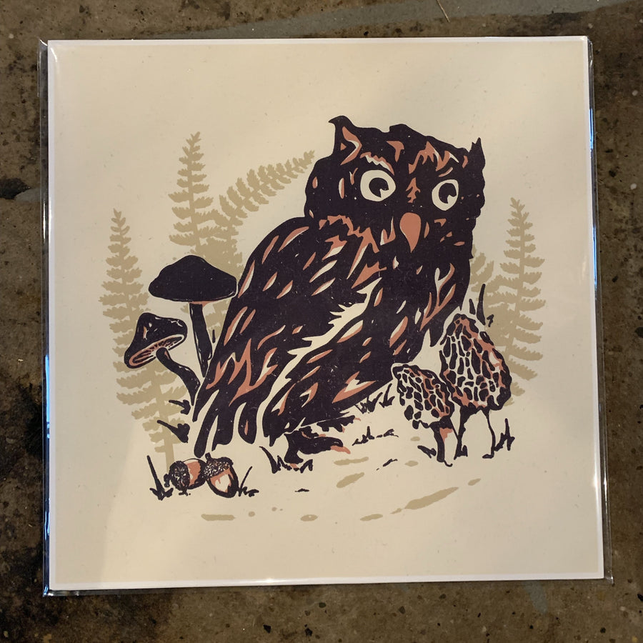 Owl Mushroom