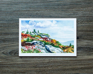 Octavia Spriggs- Bear Rock at Dolly Sods Postcard