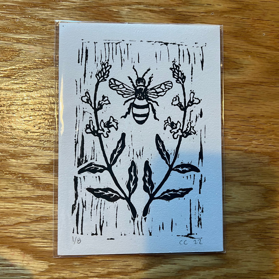 Cat and Crow - Bee Print