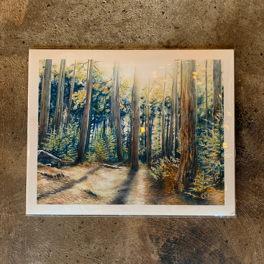Octavia Spriggs- Dolly Sods Forest Shadow Print