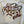 Load image into Gallery viewer, Autumn Ringneck

