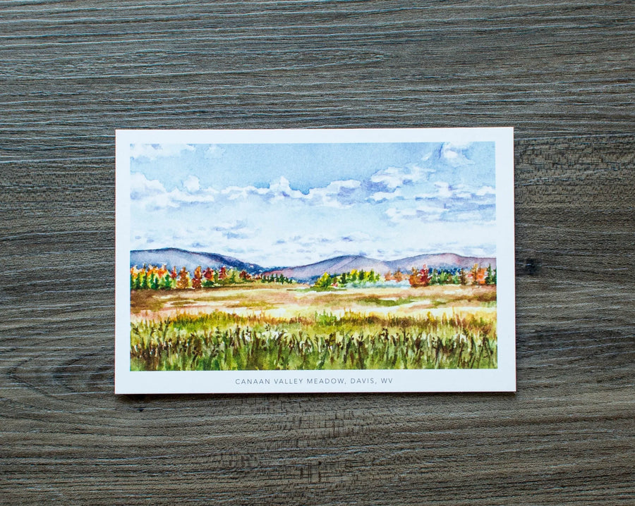 Octavia Spriggs- Canaan Valley Meadow, Davis WV Postcard