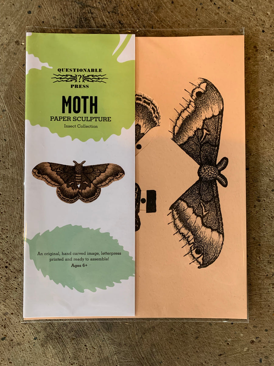 Moth Paper Sculpture - Questionable Press