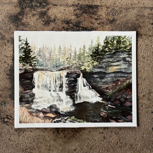 Octavia Spriggs - Blackwater Falls in Autumn
