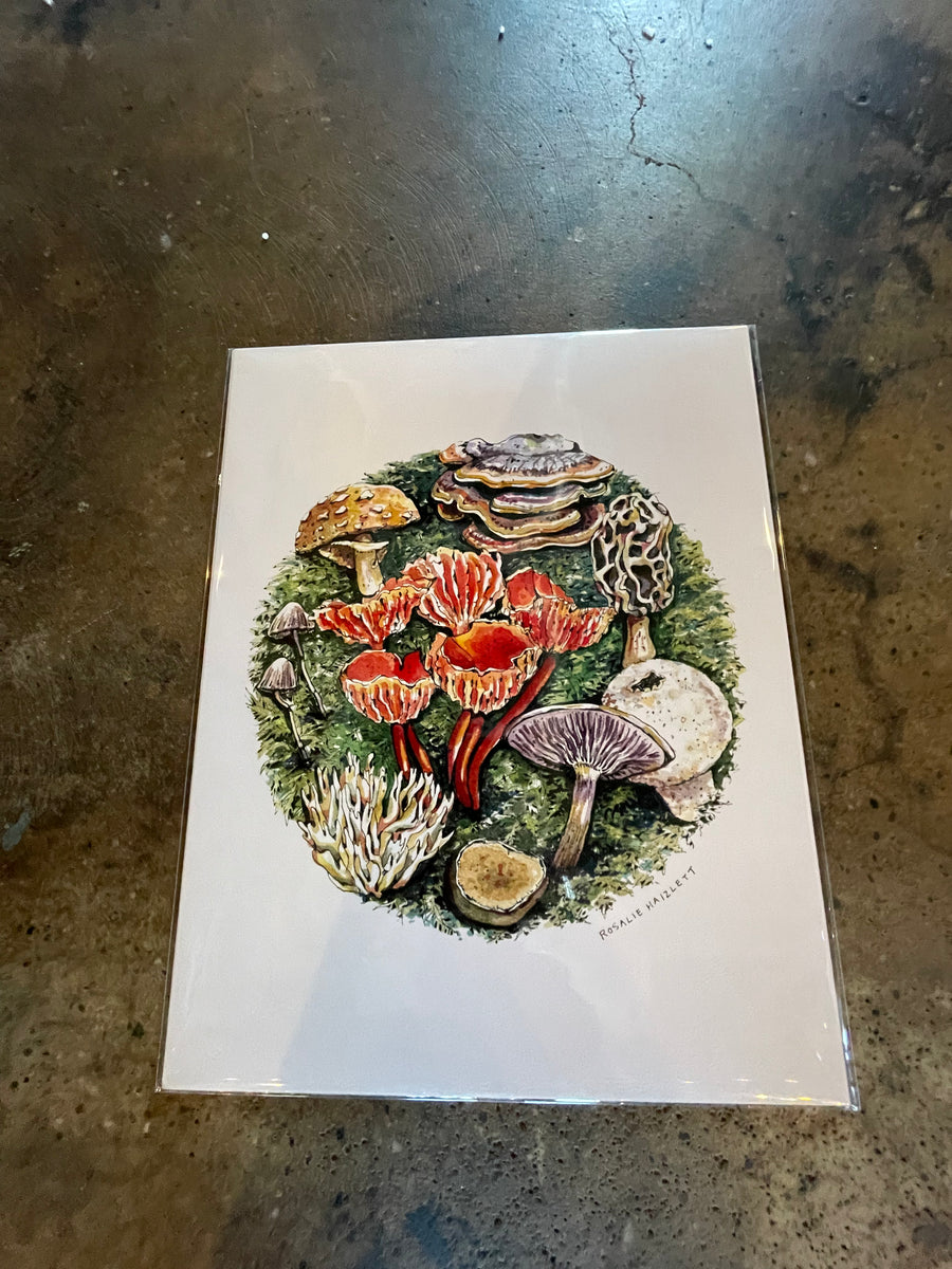 Forest Mushrooms - Rosalie Haizlett