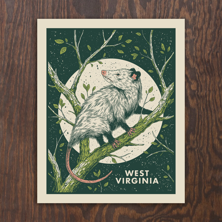 Opossum Screen Print - Logan Schmitt – Lost Appalachia Trading Company